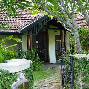 The Havelock Place Bungalow